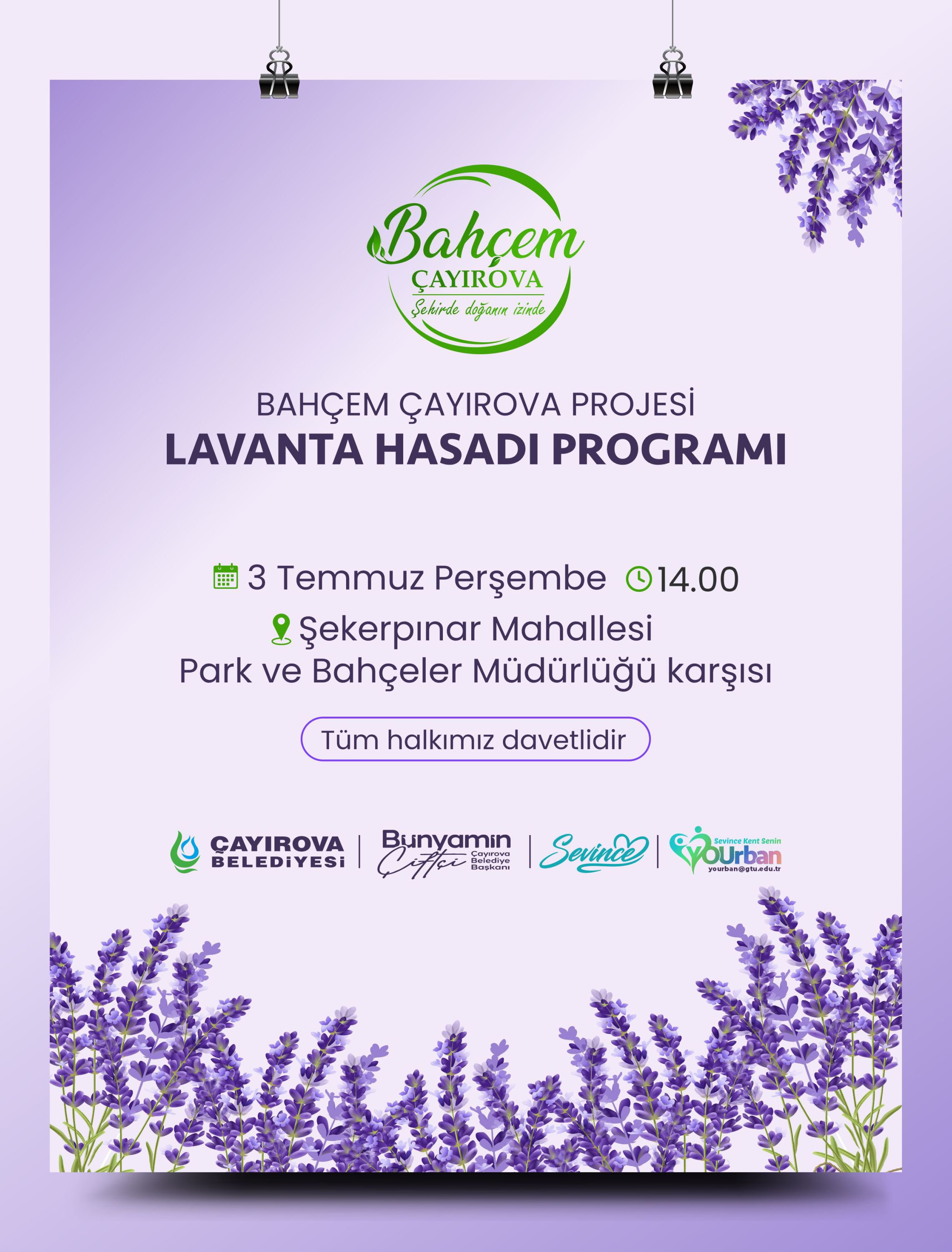 Lavanta Hasadı Programı