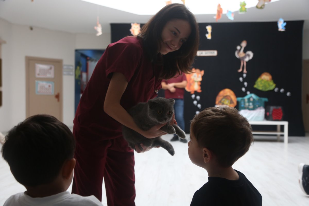  Veteriner olmak isteyen minikler, sokak hayvanları hakkında bilgi aldı