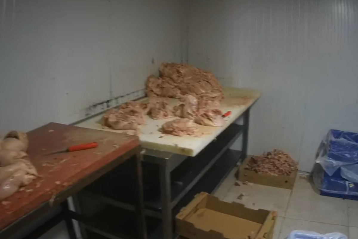 Çayırova Zabıtası, halk sağlığını hiçe sayan işletmeyi mühürledi