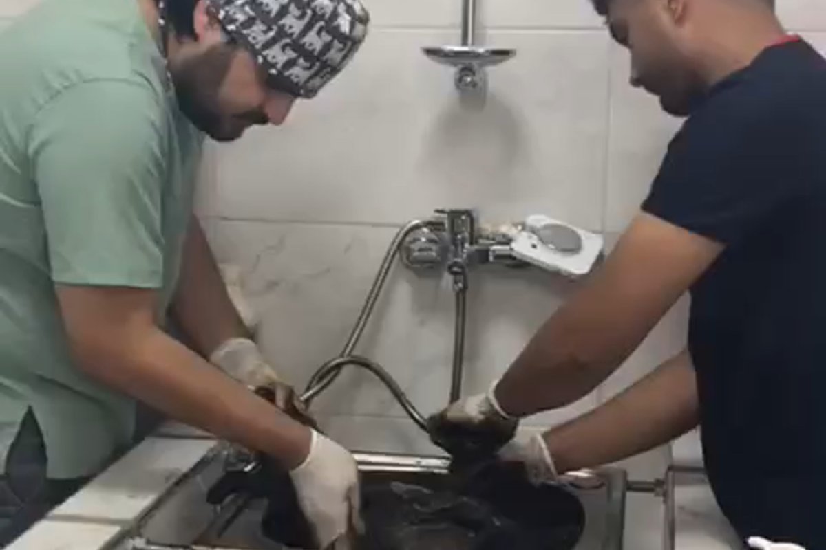Zifte bulanmıştı, rehabilitasyon merkezinde yaşama tutundu