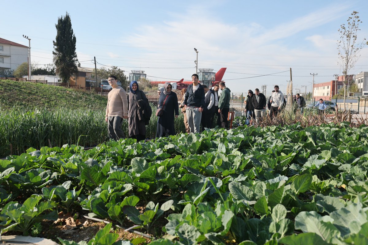 Özel bireyler, elleriyle hasat yapıp çiçek ekti